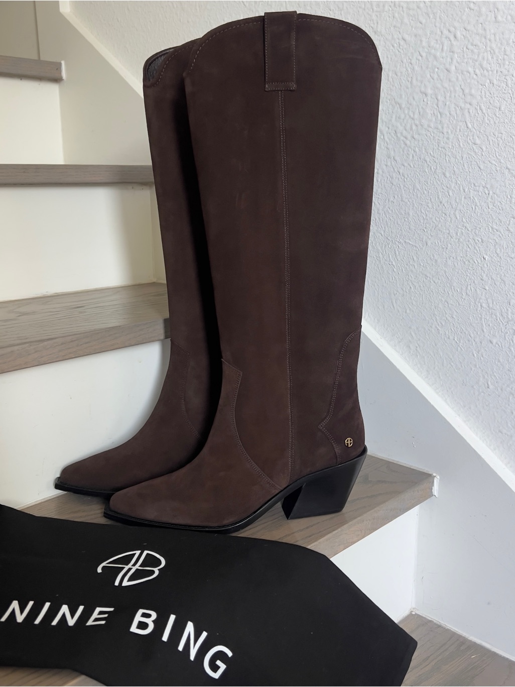 Anine Bing Tall Tania Western Boots In Dark Brown Suede